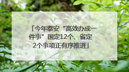 今年泰安“高效办成一件事”国定12个、省定2个事项正有序推进
