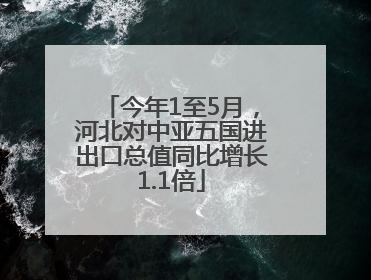 今年1至5月，河北对中亚五国进出口总值同比增长1.1倍