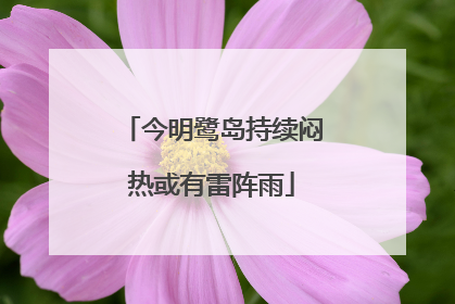 今明鹭岛持续闷热或有雷阵雨