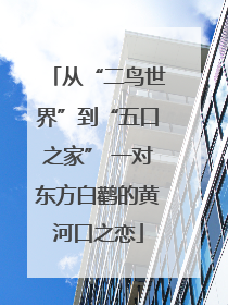 从“二鸟世界”到“五口之家” 一对东方白鹳的黄河口之恋