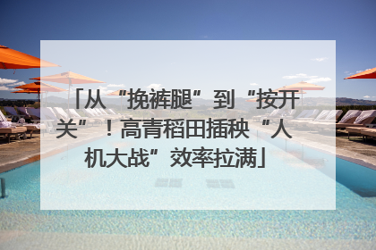 从“挽裤腿”到“按开关”！高青稻田插秧“人机大战”效率拉满