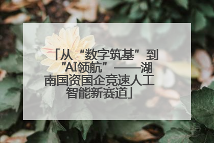 从“数字筑基”到“AI领航”——湖南国资国企竞速人工智能新赛道