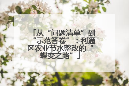 从“问题清单”到“示范答卷”：利通区农业节水整改的“蝶变之路”