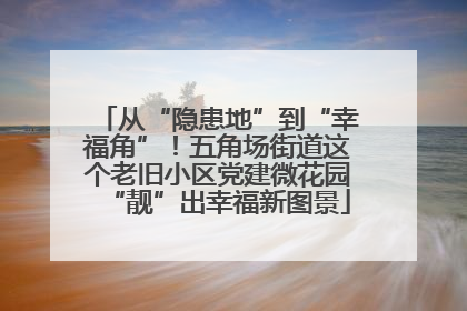 从“隐患地”到“幸福角”！五角场街道这个老旧小区党建微花园“靓”出幸福新图景