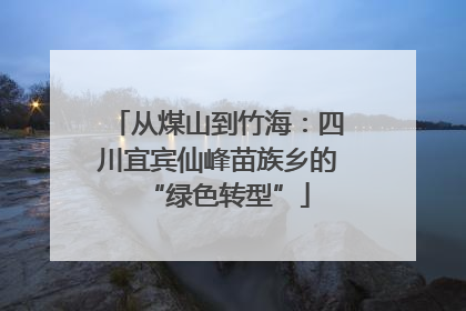 从煤山到竹海：四川宜宾仙峰苗族乡的“绿色转型”