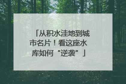 从积水洼地到城市名片！看这座水库如何“逆袭”