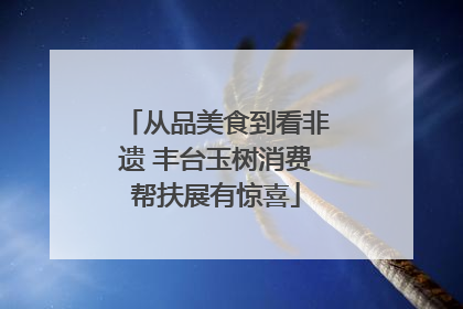 从品美食到看非遗 丰台玉树消费帮扶展有惊喜