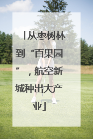 从枣树林到“百果园”，航空新城种出大产业