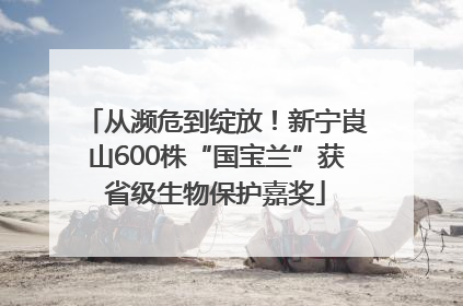 从濒危到绽放！新宁崀山600株“国宝兰”获省级生物保护嘉奖