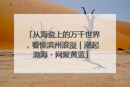 从海瓷上的万千世界，看懂滨州浪漫｜潮起渤海・网聚黄蓝