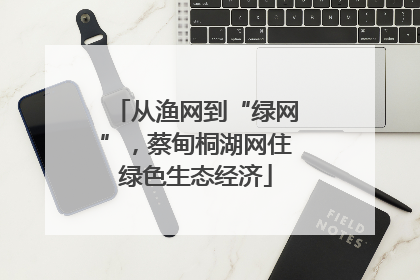 从渔网到“绿网”，蔡甸桐湖网住绿色生态经济