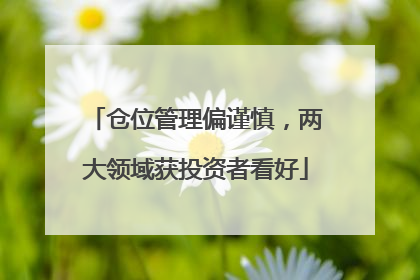 仓位管理偏谨慎，两大领域获投资者看好
