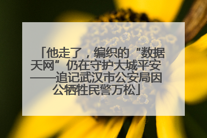 他走了，编织的“数据天网”仍在守护大城平安——追记武汉市公安局因公牺牲民警万松