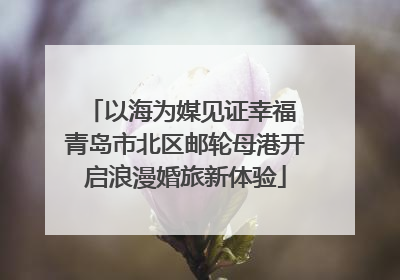 以海为媒见证幸福 青岛市北区邮轮母港开启浪漫婚旅新体验