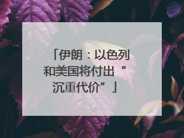 伊朗：以色列和美国将付出“沉重代价”