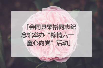 会同县粟裕同志纪念馆举办“粽情六一·童心向党”活动