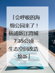会呼吸的海绵公园来了！杨浦新江湾城7.35公顷生态空间改造焕新