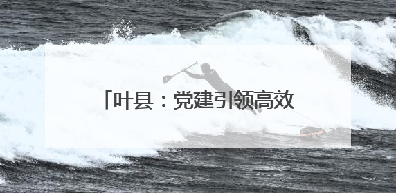 叶县：党建引领高效能 绘就乡村新图景