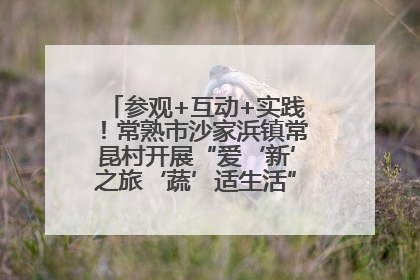 参观+互动+实践！常熟市沙家浜镇常昆村开展“爱‘新’之旅‘蔬’适生活”参观学习活动