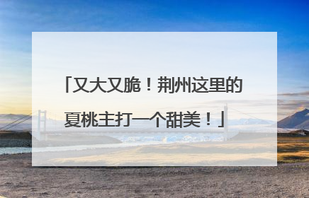 又大又脆！荆州这里的夏桃主打一个甜美！
