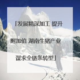 发展精深加工 提升附加值 湖南生猪产业谋求全链条转型