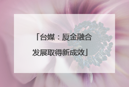 台媒：厦金融合发展取得新成效
