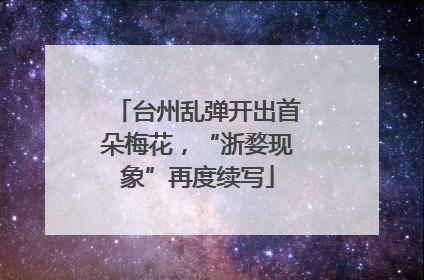 台州乱弹开出首朵梅花，“浙婺现象”再度续写