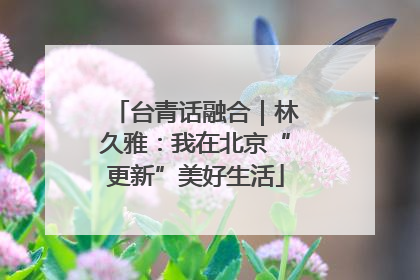 台青话融合｜林久雅：我在北京“更新”美好生活