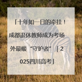 十年如一日的牵挂！成都退休教师成为考场外最暖“守护者”｜2025四川高考