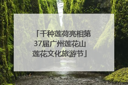 千种莲荷亮相第37届广州莲花山莲花文化旅游节