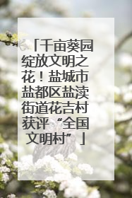千亩葵园绽放文明之花！盐城市盐都区盐渎街道花吉村获评“全国文明村”