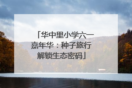 华中里小学六一嘉年华：种子旅行解锁生态密码