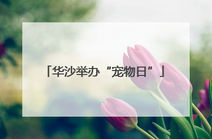 华沙举办“宠物日”