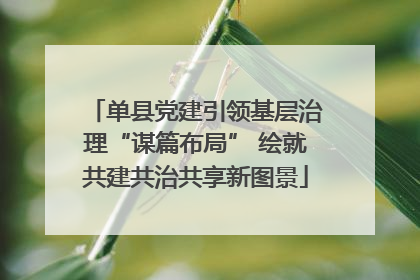 单县党建引领基层治理“谋篇布局” 绘就共建共治共享新图景