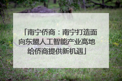 南宁侨商：南宁打造面向东盟人工智能产业高地给侨商提供新机遇