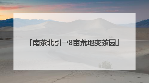 南茶北引→8亩荒地变茶园
