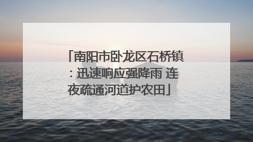 南阳市卧龙区石桥镇：迅速响应强降雨 连夜疏通河道护农田