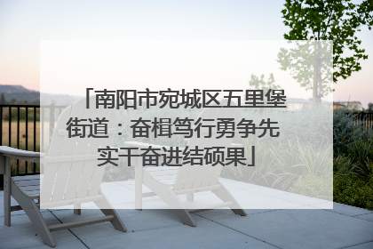 南阳市宛城区五里堡街道：奋楫笃行勇争先 实干奋进结硕果