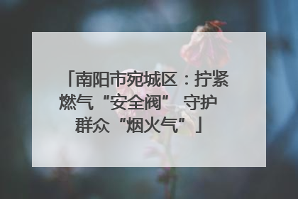 南阳市宛城区：拧紧燃气“安全阀” 守护群众“烟火气”