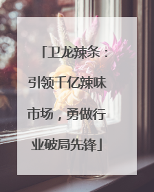 卫龙辣条：引领千亿辣味市场，勇做行业破局先锋