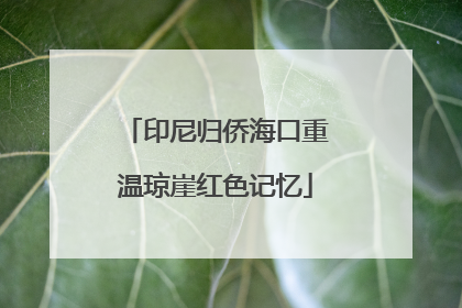 印尼归侨海口重温琼崖红色记忆