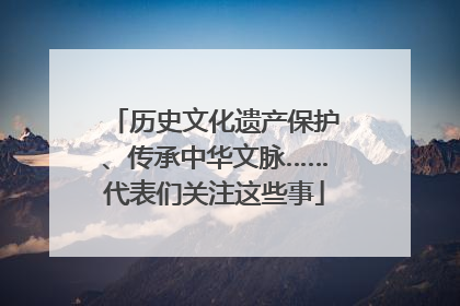 历史文化遗产保护、传承中华文脉……代表们关注这些事