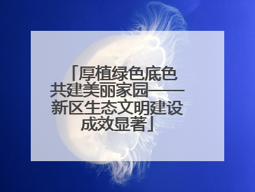 厚植绿色底色 共建美丽家园——新区生态文明建设成效显著