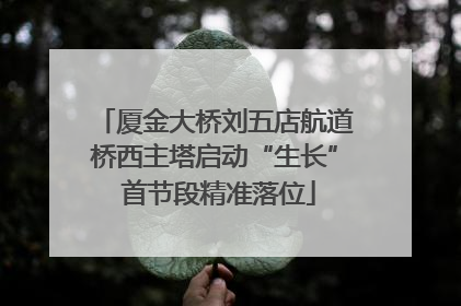 厦金大桥刘五店航道桥西主塔启动“生长” 首节段精准落位