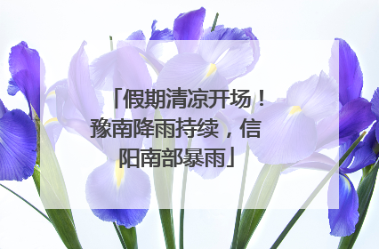假期清凉开场！豫南降雨持续，信阳南部暴雨