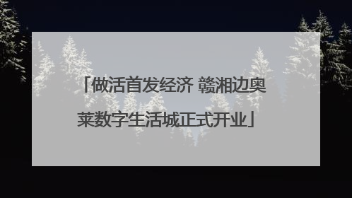 做活首发经济 赣湘边奥莱数字生活城正式开业