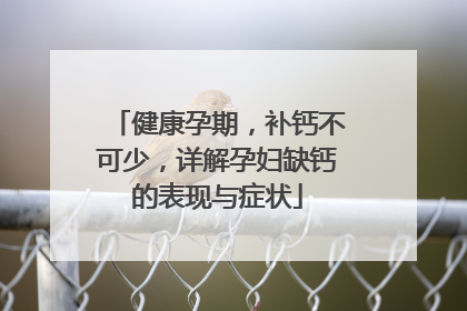 健康孕期，补钙不可少，详解孕妇缺钙的表现与症状