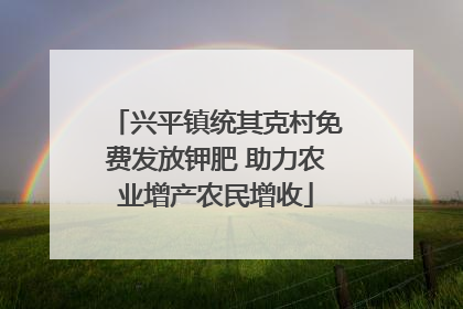 兴平镇统其克村免费发放钾肥 助力农业增产农民增收