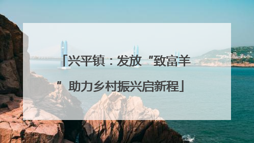兴平镇：发放“致富羊”助力乡村振兴启新程