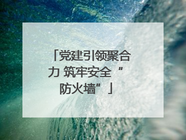 党建引领聚合力 筑牢安全“防火墙”